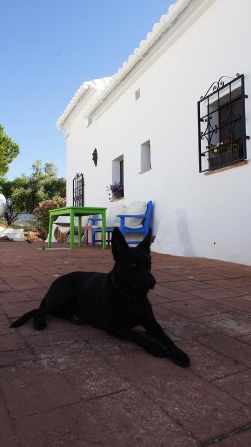 Ferienwohnung Casa Del Cielo Frigiliana Exterior foto